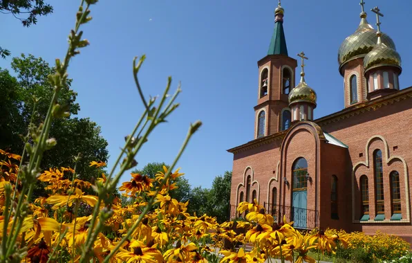 Картинка цветы, желтый, крест, церковь