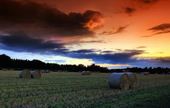 Картинка поле, небо, пейзаж, закат, сено