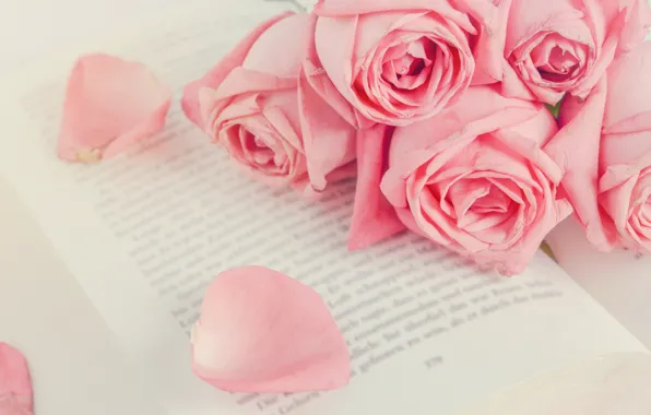 Картинка цветы, розы, лепестки, розовые, бутоны, pink, flowers, romantic