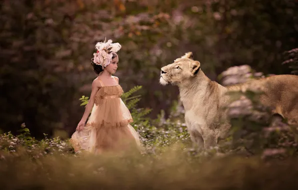 Картинка природа, животное, хищник, платье, девочка, наряд, львица