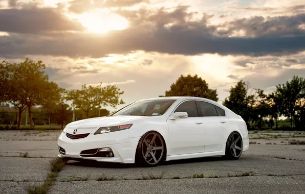 Белая, honda, хонда, accord, аккорд, acura, акура, tsx