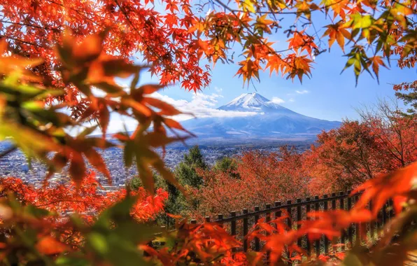 Картинка осень, листья, деревья, ветки, забор, гора, вулкан, Япония