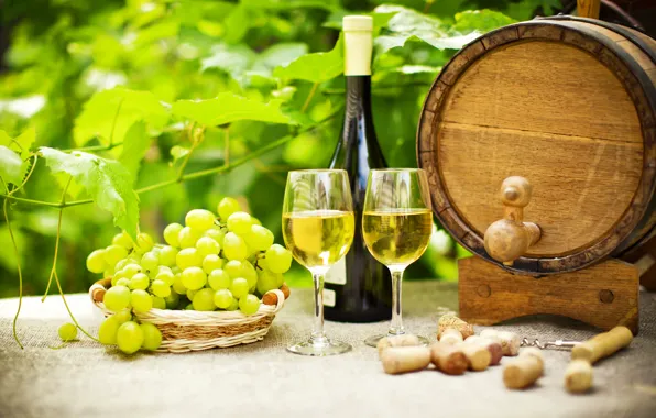 Зелень, стол, вино, бутылка, сад, бокалы, виноград, пробки