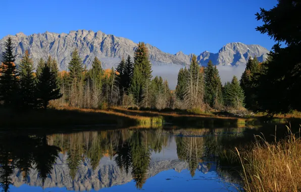 Осень, деревья, горы, река, Вайоминг, США, Гранд-Титон, Grand Teton National Park