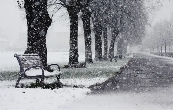 Картинка зима, снег, деревья, парк, аллея, лавки