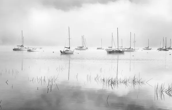 Картинка lake, fog, dawn, mist, sailboats