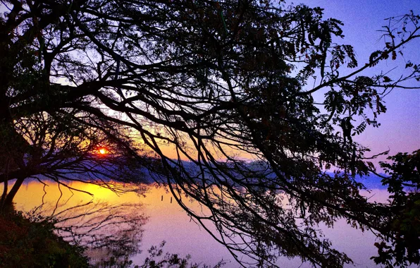 Sun, Water, Sunrise, Dawn, Morning, Lake, Trees, Reflection