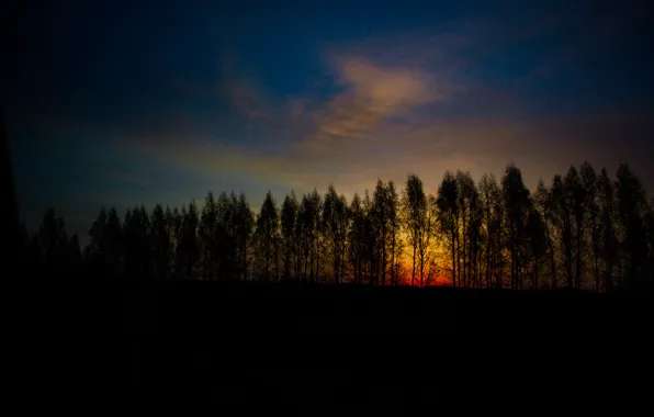 Природа, Дорога, Лес, Рассвет, Трасса, Пейзаж
