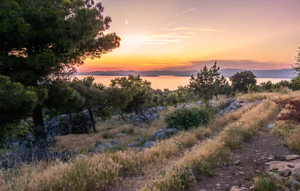 Лето, закат, природа, берег