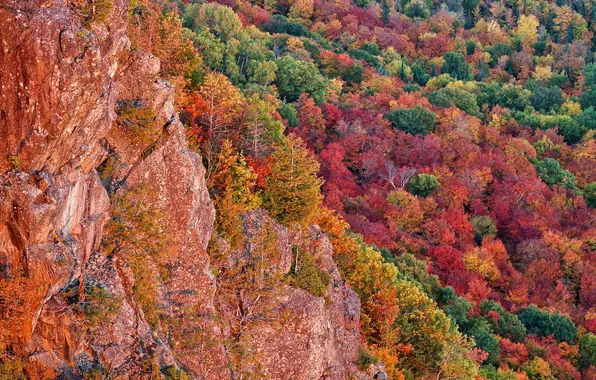 Картинка осень, лес, деревья, скалы, Мичиган, США, багрянец, Чиппева
