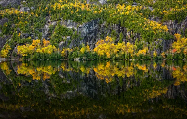 Картинка осень, лес, деревья, природа, озеро, отражение, река
