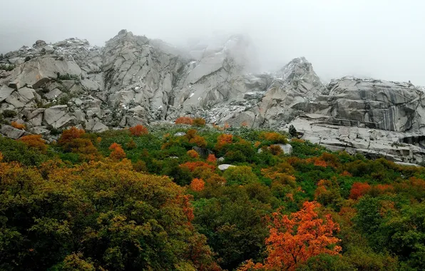 Картинка Горы, Туман, Осень, Скалы, Деревья, Гора, Лес, Листья