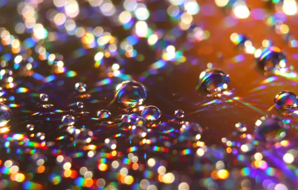 Water, color, drops