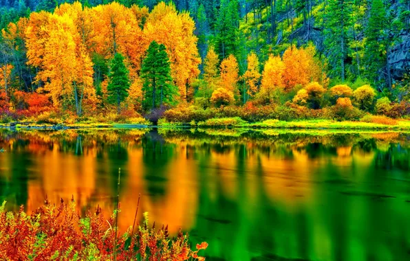 Картинка осень, лес, деревья, озеро, отражение, склон