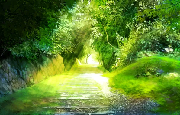 Зелень, деревья, пейзаж, дорожка, аллея, miyukin, okura miyuki