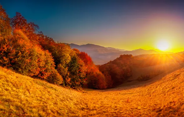 Картинка осень, листья, деревья, парк, colorful, park, autumn, leaves