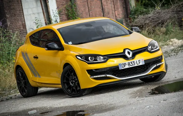 Картинка Renault, Megane, Trophy-R