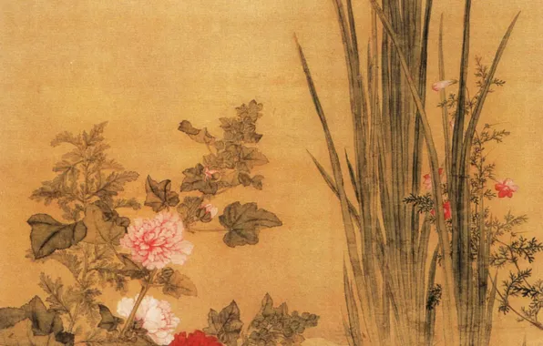 Картинка цветы, Китай, Yu Bai