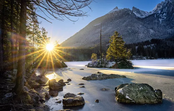 Картинка Река, Германия, Лес, Germany, Sunshine, River, Forest, Солнечный свет