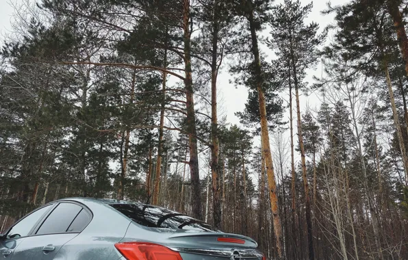 Природа, Лес, Insignia, Opel