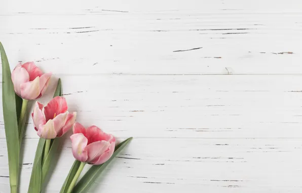 Цветы, тюльпаны, розовые, pink, flowers, beautiful, tulips, spring
