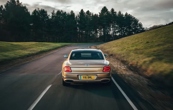 Картинка дорога, разметка, Bentley, сзади, Flying Spur, 2020, V8, 2021