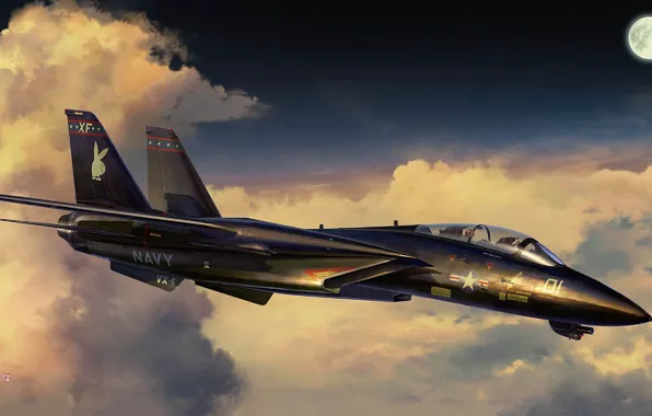 США, Палубный, истребитель-перехватчик, Grumman F-14 Tomcat, US NAVY, F-14A, Tankro Kato