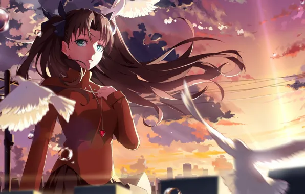 Девушка, закат, Тосака Рин, Судьба ночь схватки, Fate / Stay Night