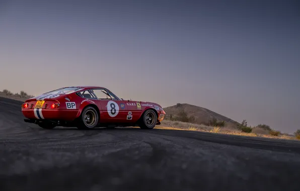 Ferrari, суперкар, supercar, 1973, Daytona, Competizione, единственный экземпляр, the only instance