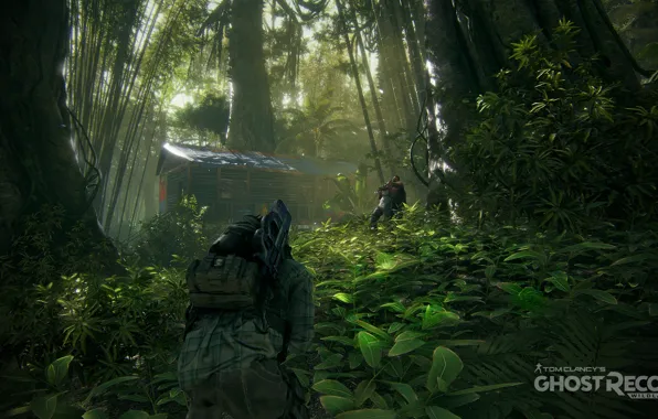 Дом, джунгли, солдат, ghost recon wildlands