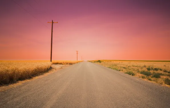 Дорога, поле, закат, линия электропередач, розовый небо
