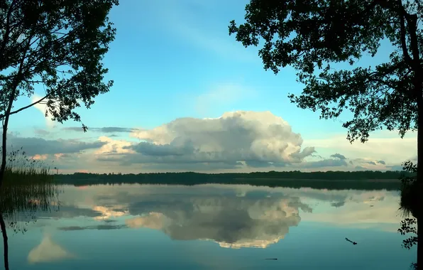 Картинка Небо, Вода, Природа, Облака, Отражение, Фото, Озеро, Деревья