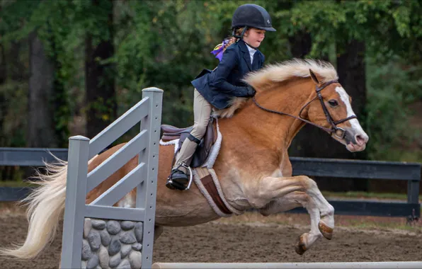 Спорт, лошадь, девочка, sport, horse, little girl, скачка, gallop