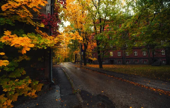 Осень, Эстония, Тарту