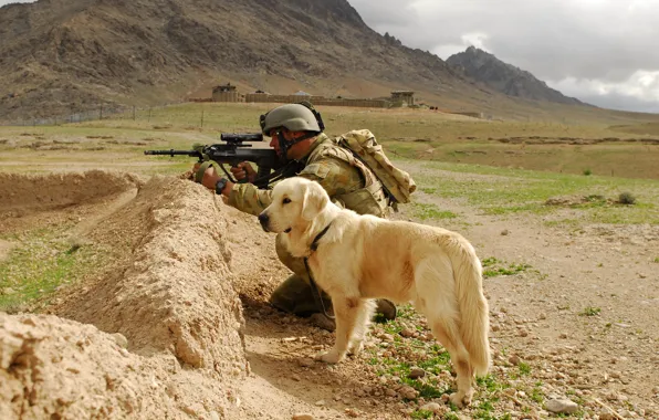 Картинка друг, собака, солдат, стеирауг