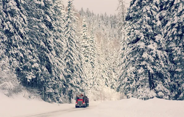 Зима, дорога, машина, лес, снег