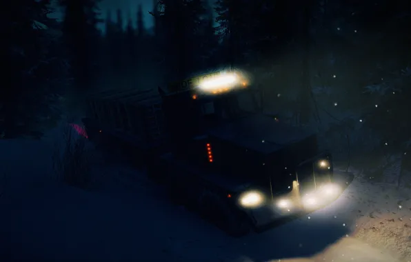 HDR, Light, Alaska, Wood, Winter, Snow, Truck, Game