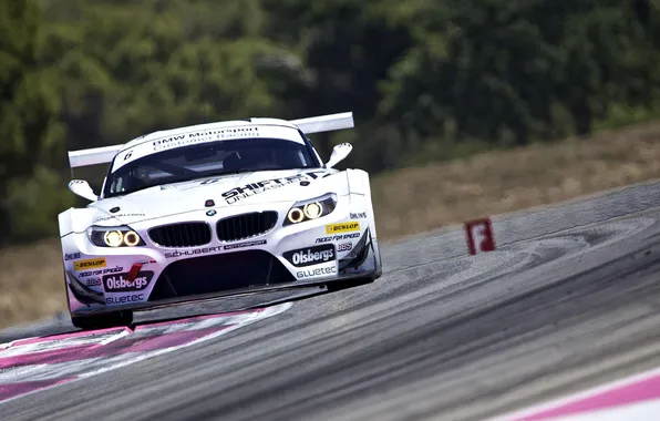 BMW, Paul Ricard, FIA GT3 2011, Team Need for Speed