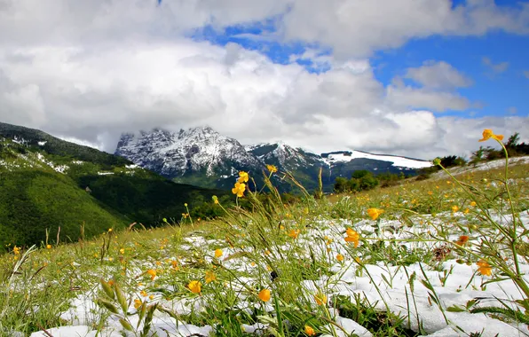 Картинка небо, снег, цветы, горы, тучи, весна