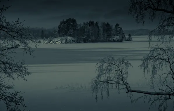 Winter, lake, frozen, islet