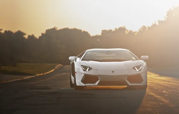 Картинка дорога, белый, закат, white, lamborghini, road, sunset, передок