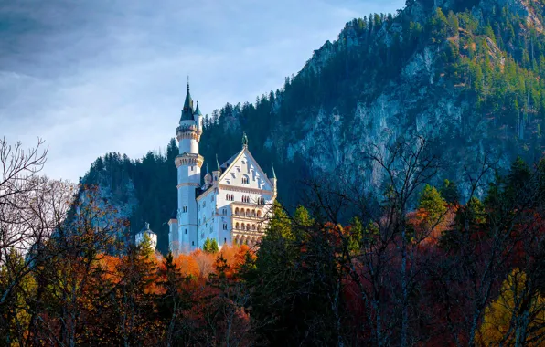Картинка осень, лес, деревья, горы, замок, скалы, Германия, Бавария
