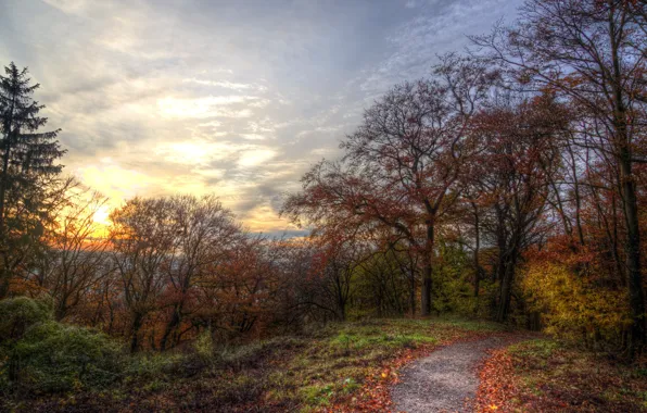 Картинка осень, небо, природа