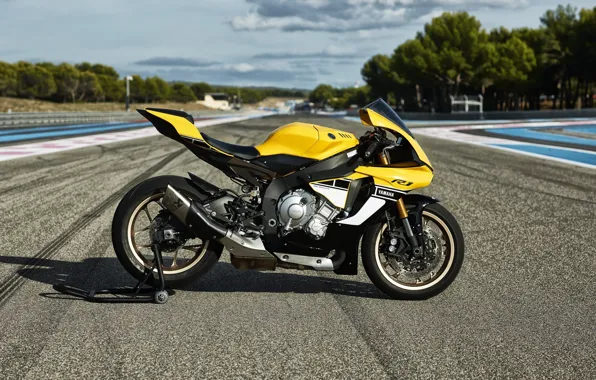 Yamaha, Special, Moto, Track, Superbike, 2016, Sportbike