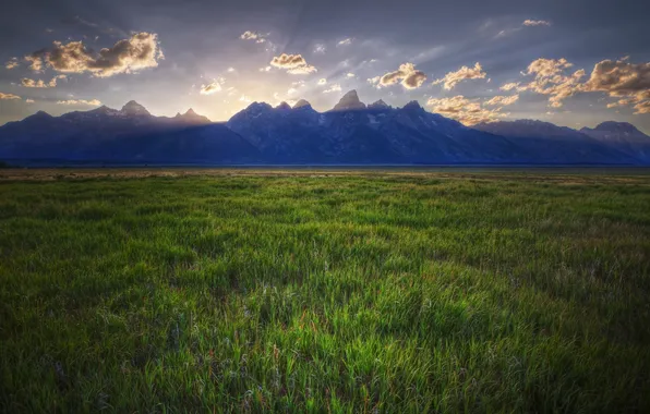 Wyoming, grasslands, teton