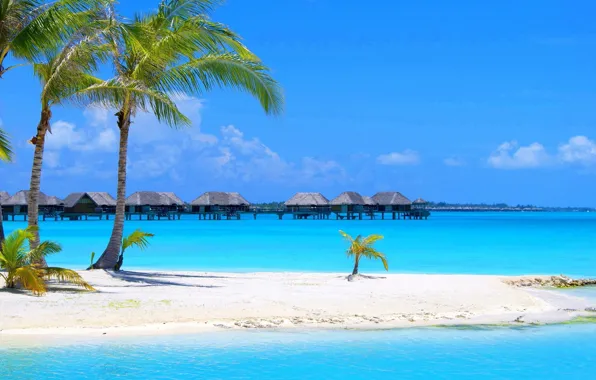 Пляж, пальмы, океан, Thailand, курорт, beach, белый песок, houses in water
