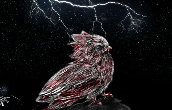 Рисунок, Птица, Фантастика, Bird