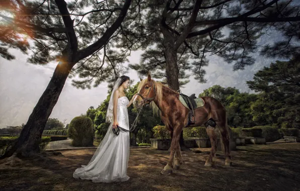 Картинка девушка, парк, настроение, конь, платье, азиатка, невеста, свадебное платье