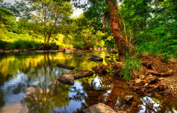 Картинка деревья, озеро, отражение, река, камни, эксмур, Exmoor