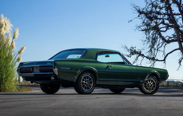 Стиль, вид сбоку, классика, 1967, XR-7, Mercury Cougar